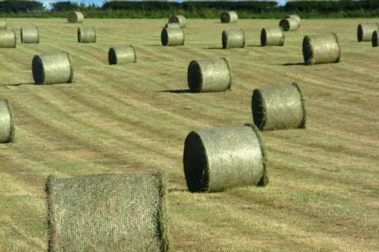 Rete di plastica in rotolo lunga 50 cm, 100% HDPE, utilizzata per avvolgere le balle di fieno insilato in azienda agricola