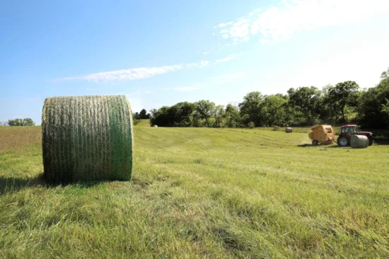 Rete per balle biodegradabili rotonda di alta qualità in HDPE puro al 100% Rete per balle di fieno in plastica rotonda da 50 cm